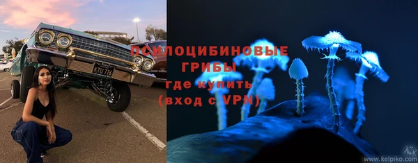 индика Остров