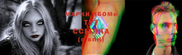 сатива Каменка