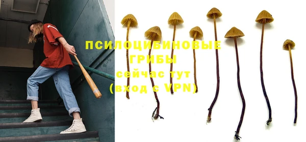 бутират Осинники