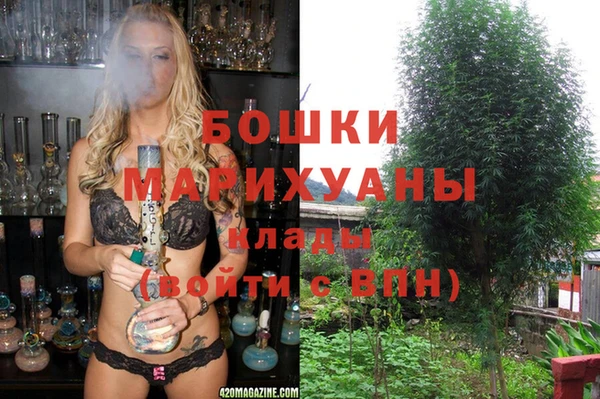 индика Остров